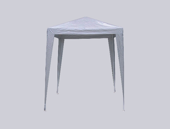 FG-1001